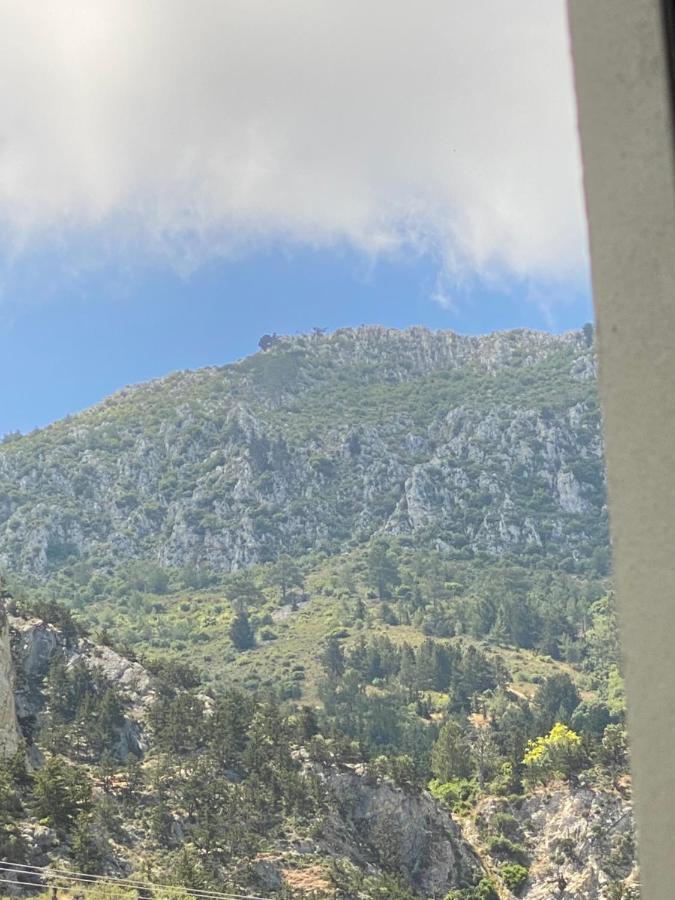 Chardonnay Guest Studio Rooms With Great View For Nature Lovers Kyrenia  Extérieur photo