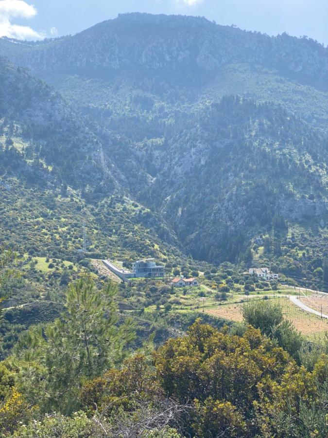 Chardonnay Guest Studio Rooms With Great View For Nature Lovers Kyrenia  Extérieur photo